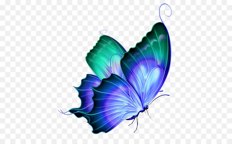 Papillon，Violet PNG