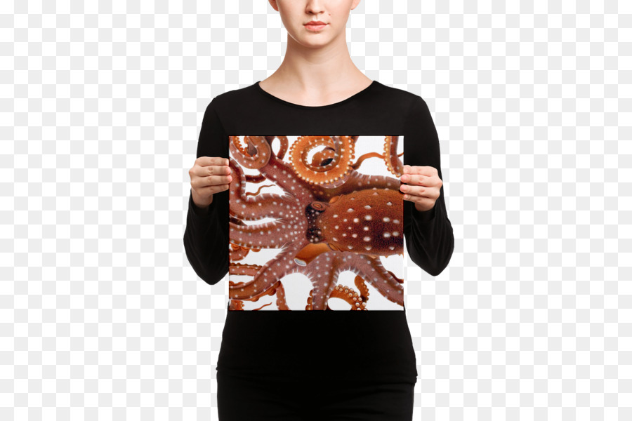 L Impression Sur Toile，Tshirt PNG