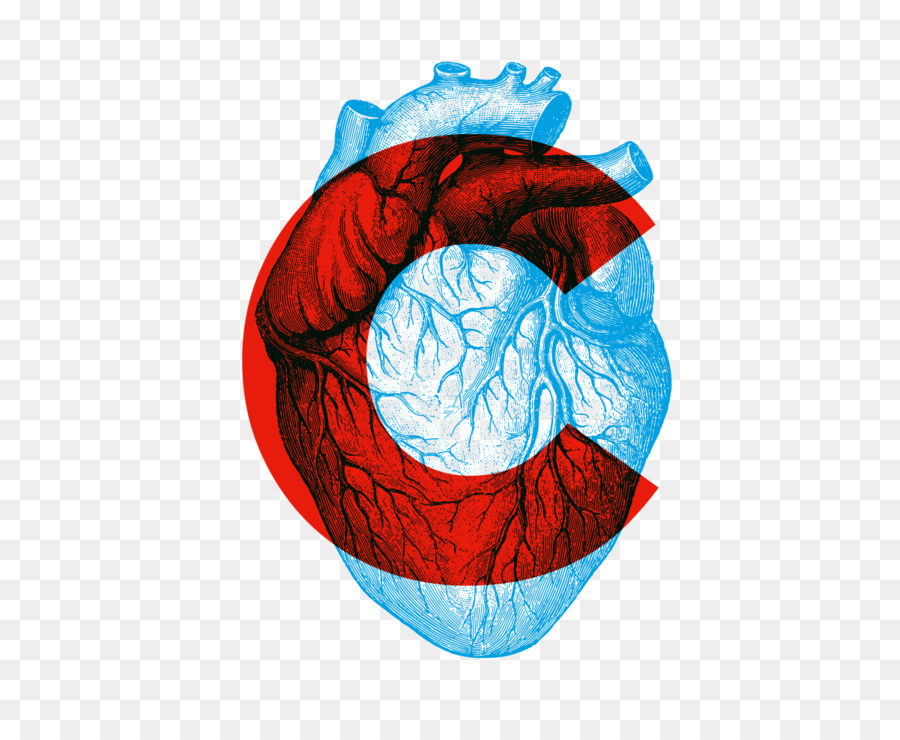 Anatomie Et Physiologie Ii Manuel De Laboratoire，Journée Mondiale Contre L Hypertension PNG