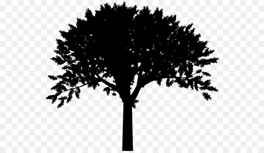 Silhouette，Arbre PNG