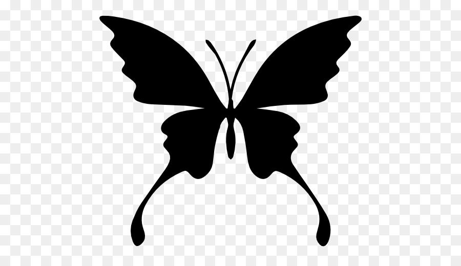 Papillon Noir，Insecte PNG