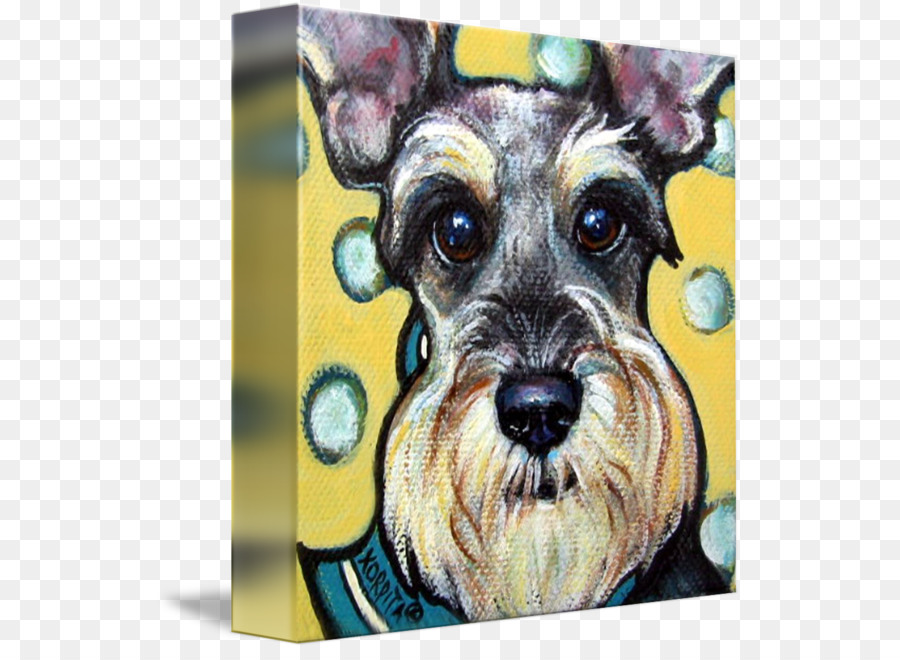 Schnauzer Nain，Schnoodle PNG