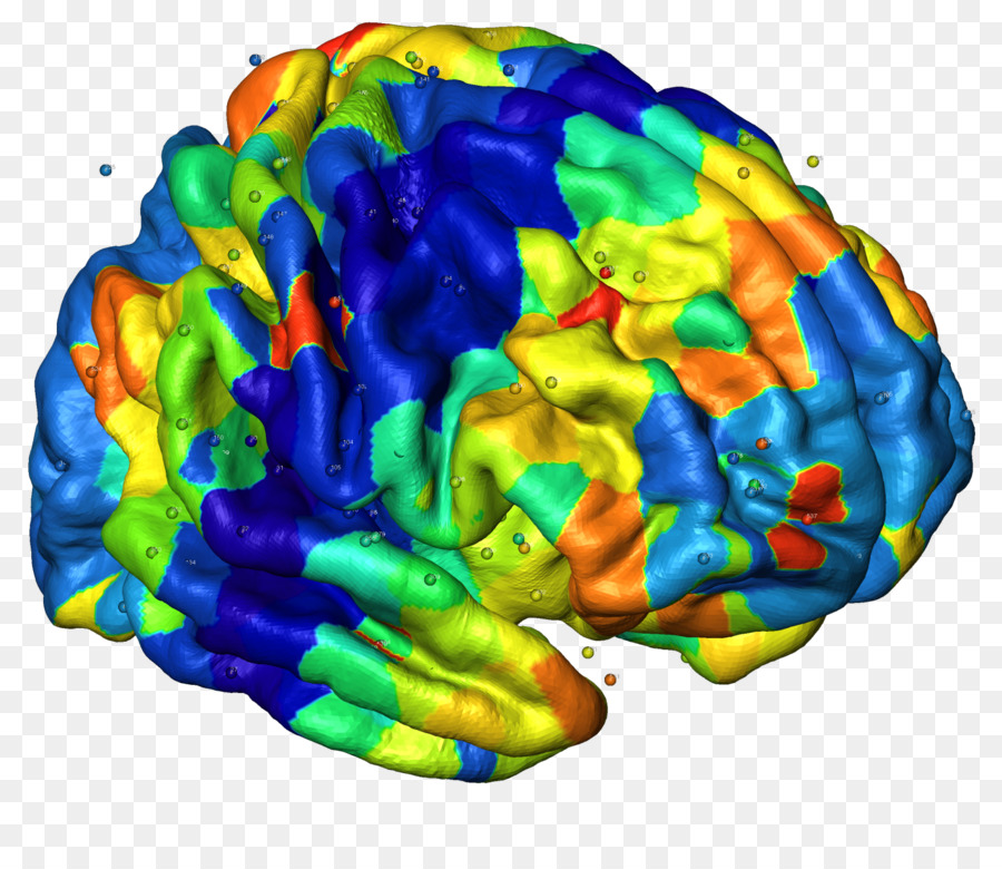 Cerveau，La Neuro Imagerie PNG