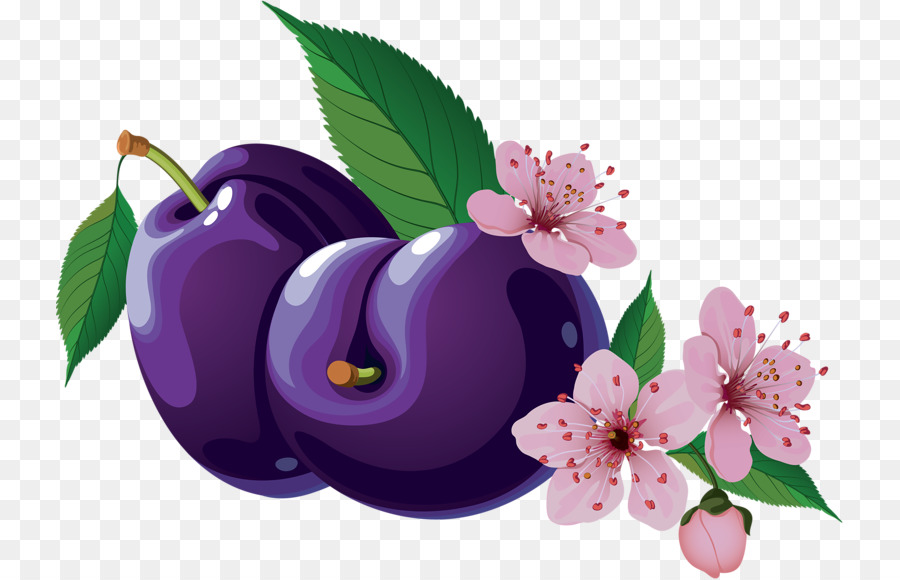 Fruits，Prune PNG