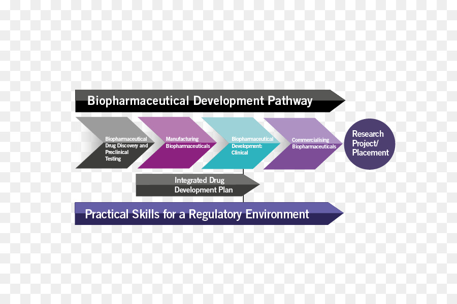 Le Développement De Médicaments，Biologique PNG