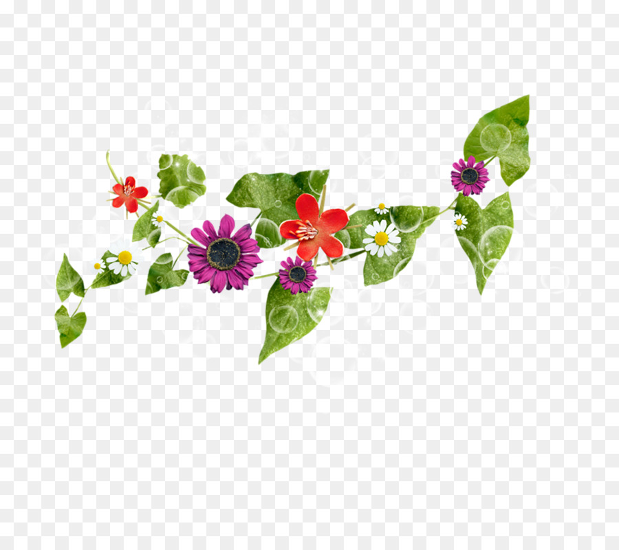 Fleurs，Feuilles PNG