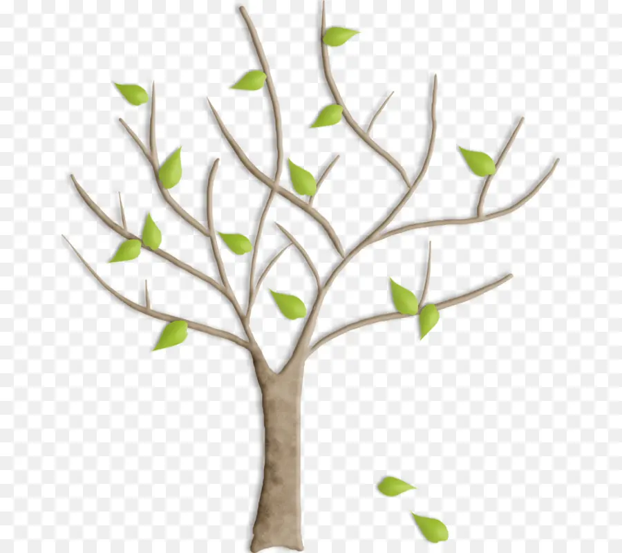 Arbre，Feuilles PNG