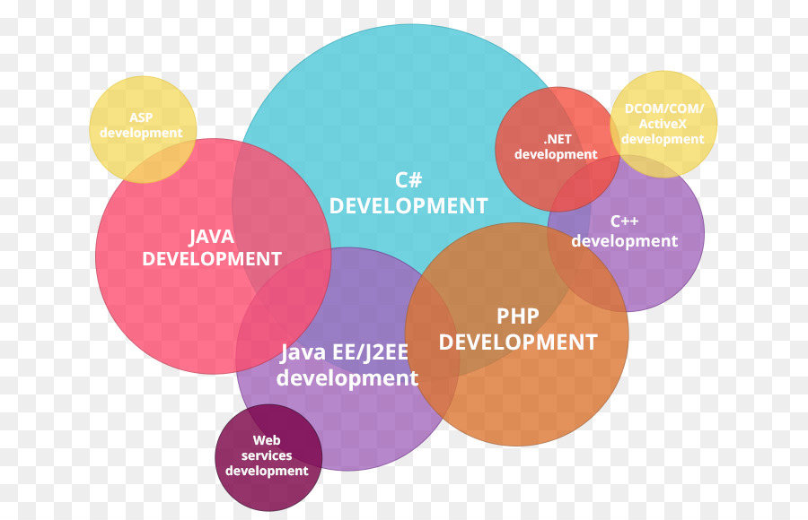 Développement Web，Compétences PNG