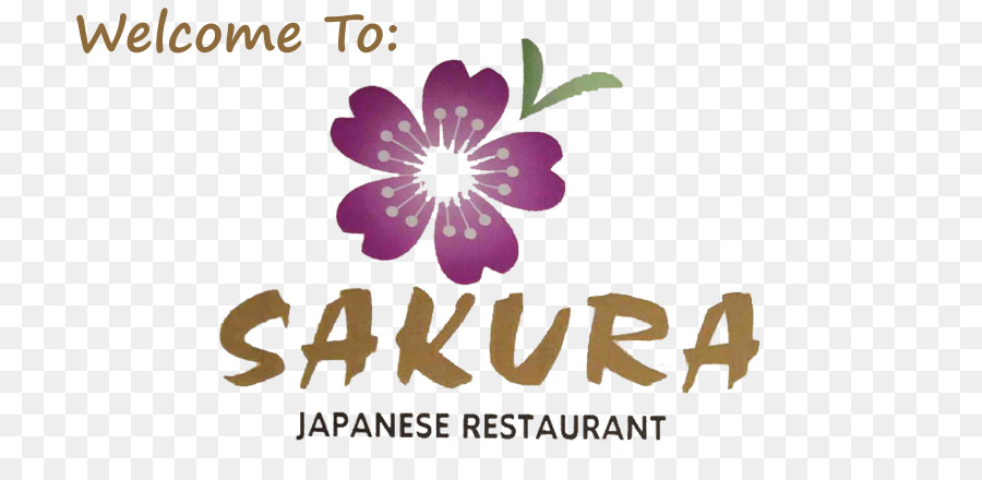 La Cuisine Japonaise，Sakura Restaurant Japonais PNG