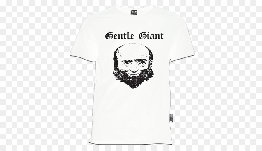 Tshirt，Chemise PNG