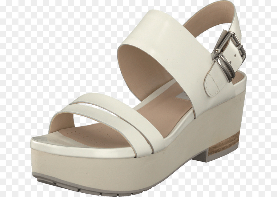 Chaussure，C J Clark PNG