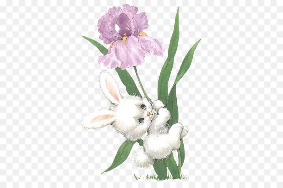 Lapin Mignon，Fleur PNG