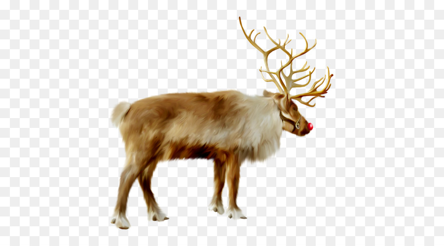 Cerf，Bois PNG