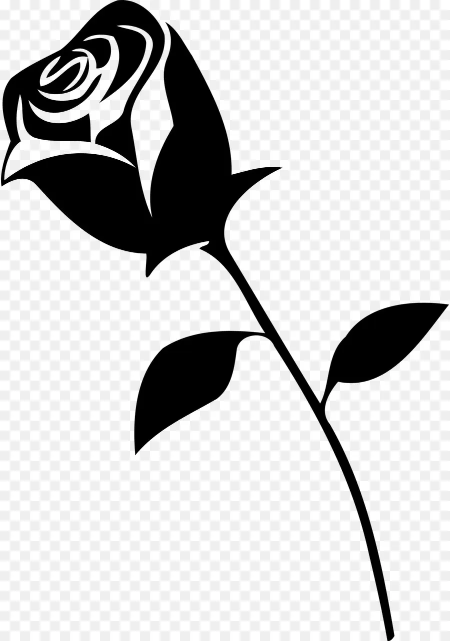 Rose Noire Et Blanche，Usine PNG