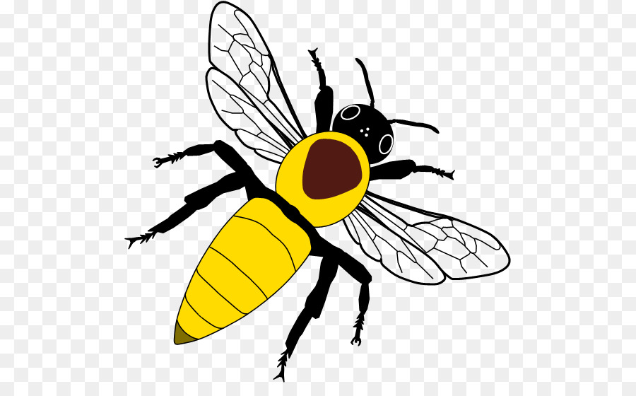 Abeille，L Ouest De L Abeille à Miel PNG