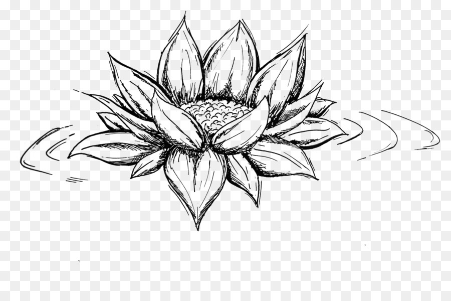 Croquis De Fleur De Lotus，Lotus PNG