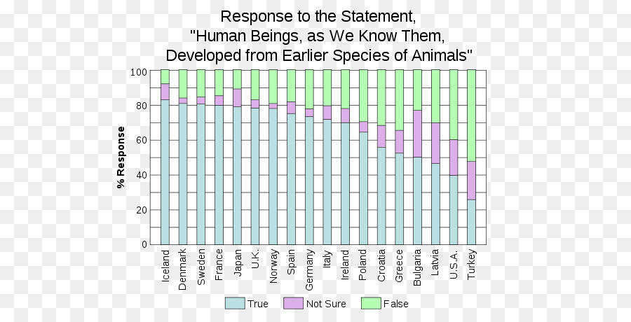 Néandertal，Evolution Humaine PNG