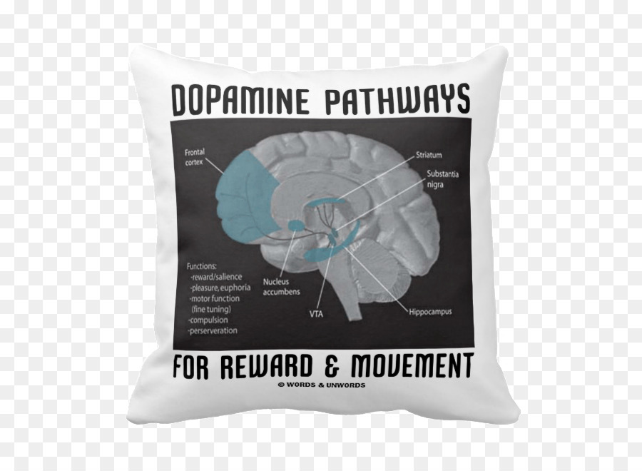 Voies De La Dopamine，Récompense PNG