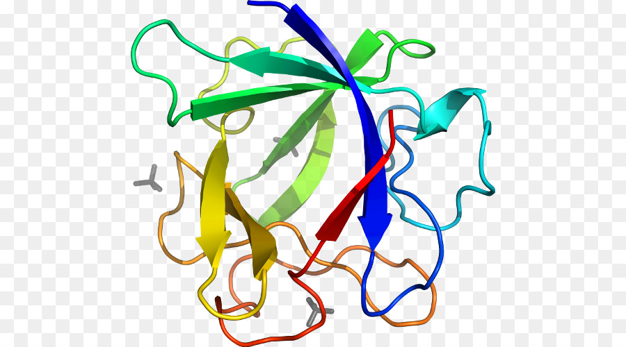 Structure Des Protéines，Biologie PNG