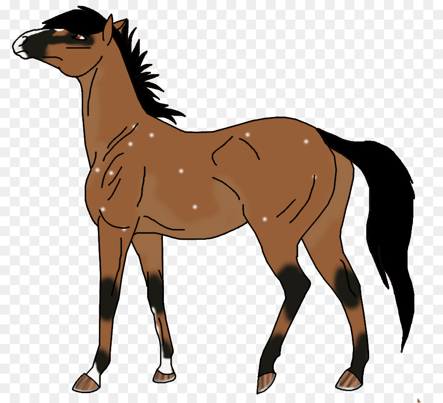 Cheval，équidé PNG