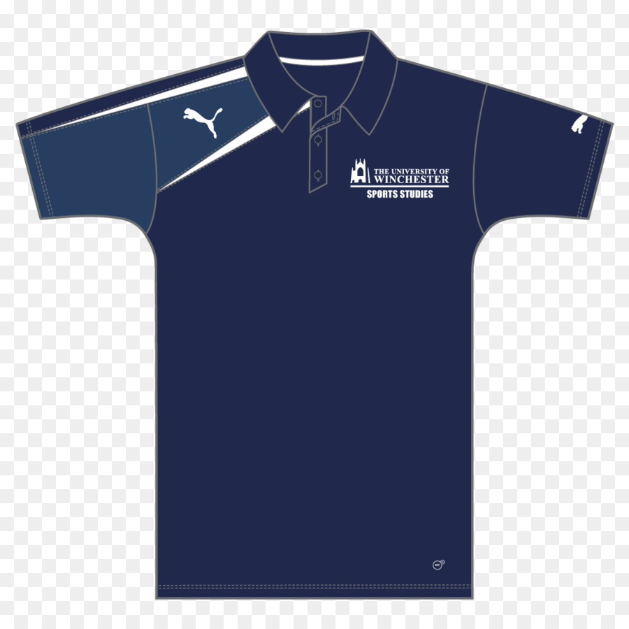 Tshirt，Polo PNG