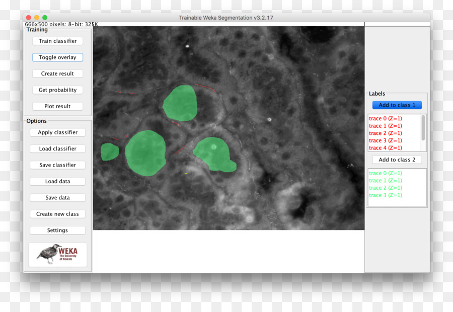 Imagej，Informations PNG