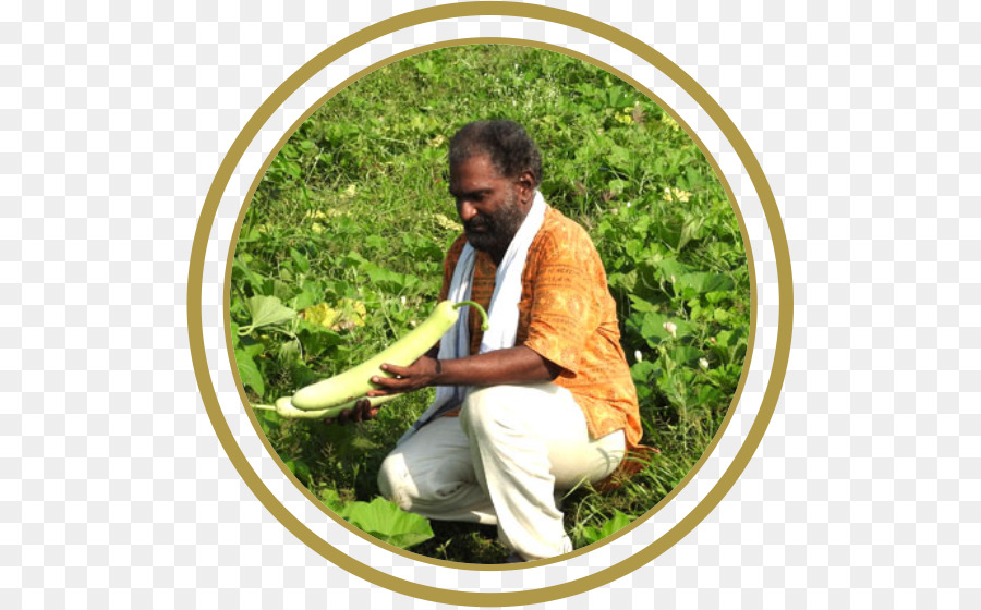 L Agriculture，Yoga PNG