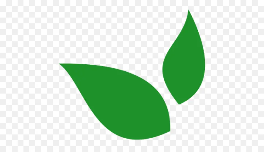 Feuille Verte，Usine PNG