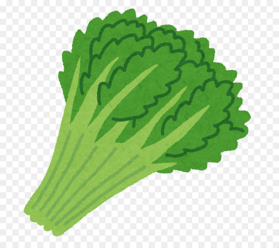 Brocoli，Vert PNG