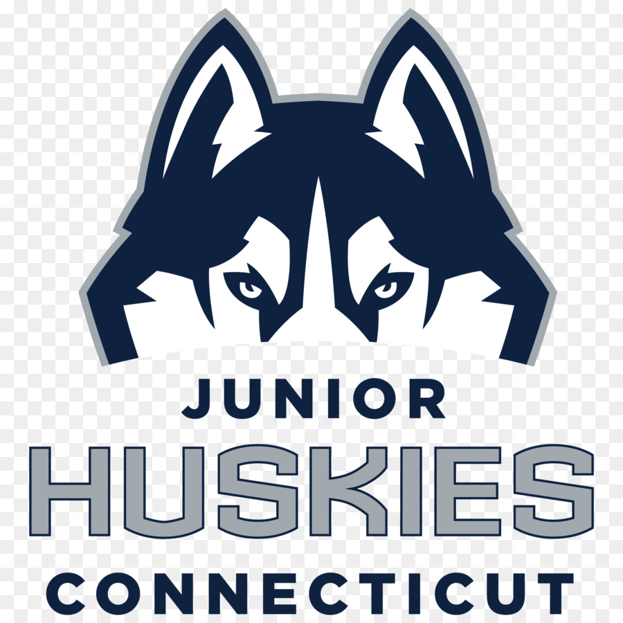 L Université Du Connecticut，Huskies Du Connecticut Hommes De Hockey Sur Glace PNG