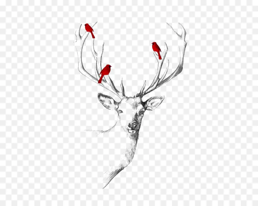 Cerf，Bois PNG