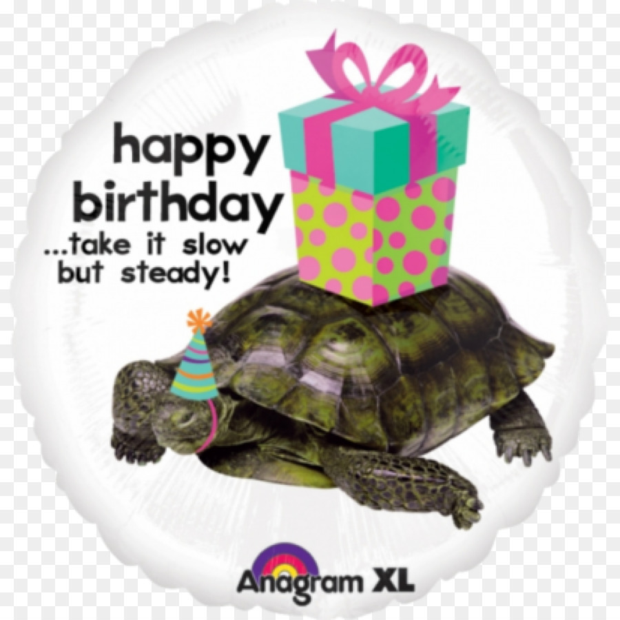 Tortue，Anniversaire PNG