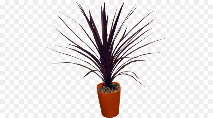 Plante En Pot，Pot PNG