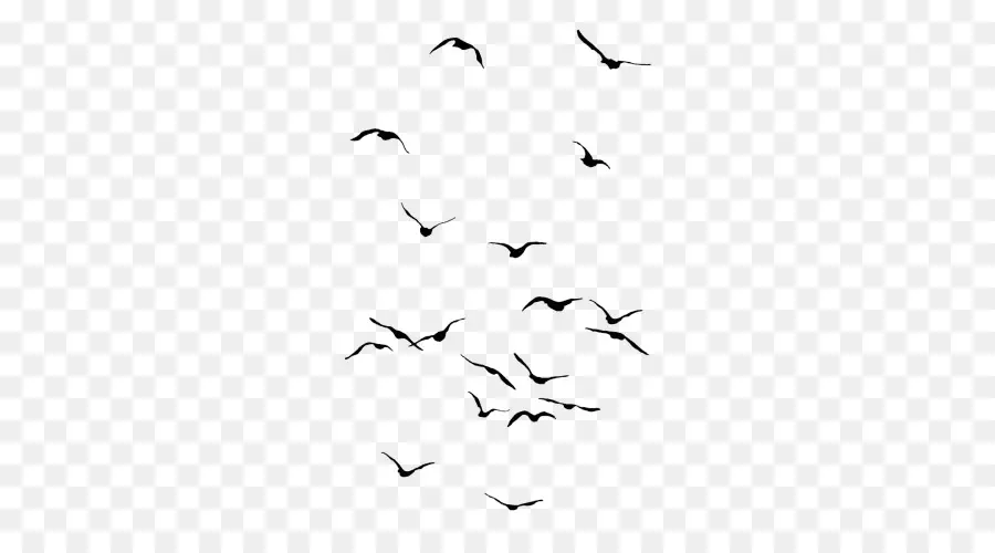 Oiseaux Volants，Ciel PNG