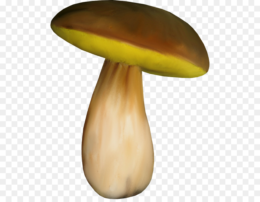 Champignon Comestible，Champignon PNG