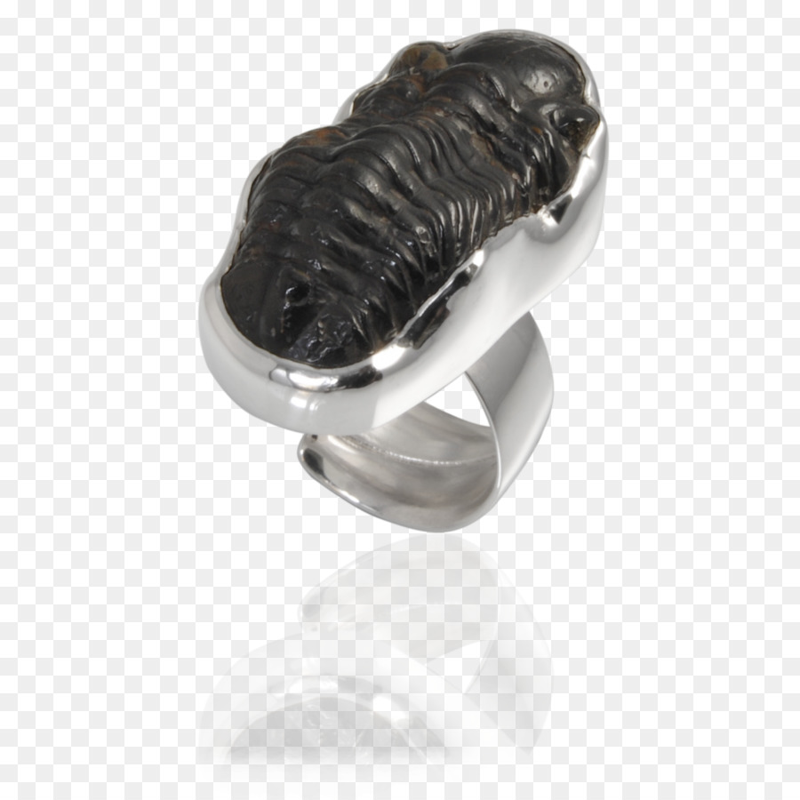 Anneau，Boucle D Oreille PNG