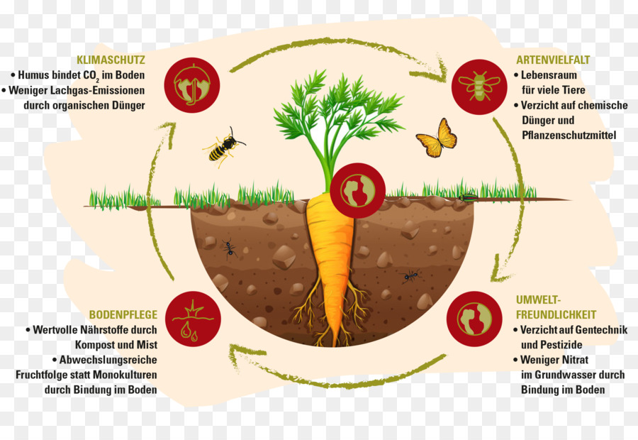 Des Aliments Biologiques，L Agriculture Biologique PNG