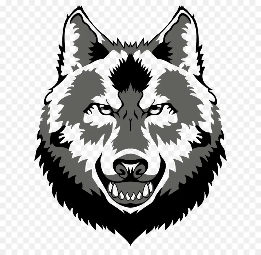 Loup Gris，Dessin PNG