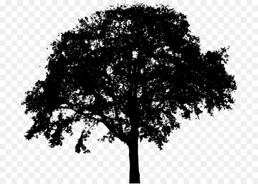 Arbre，Silhouette PNG