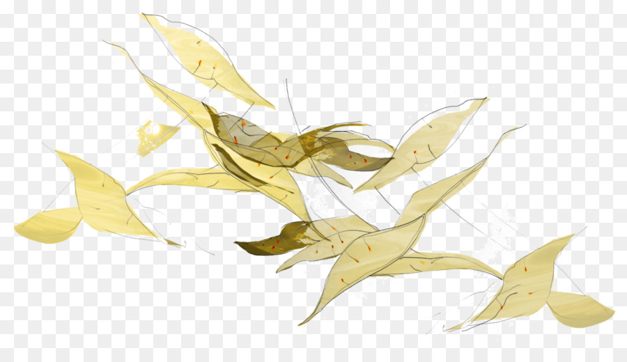 Feuille，Fleur PNG