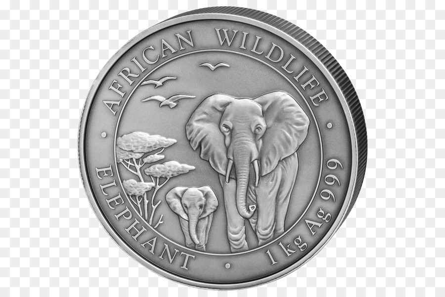 Pièce De Monnaie，L éléphant D Afrique PNG