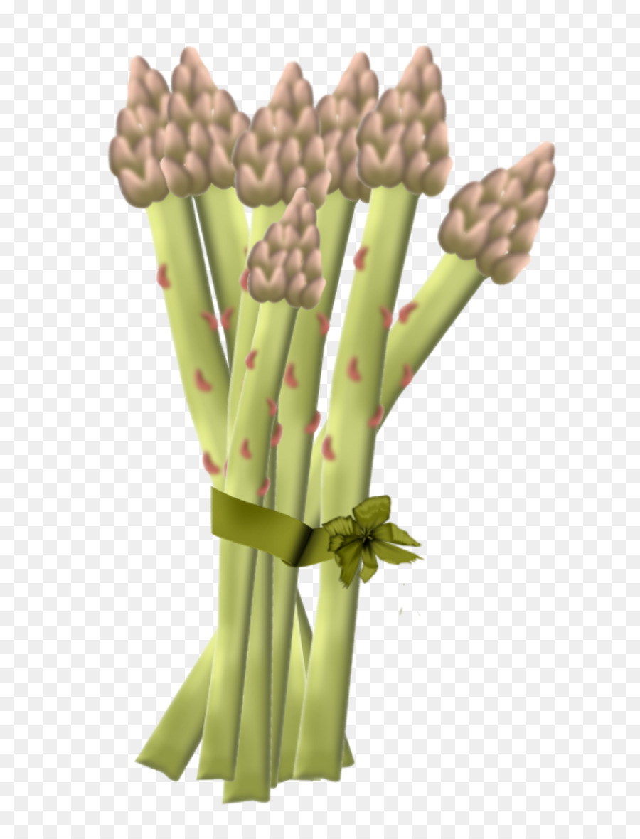 Asperge，Vert PNG