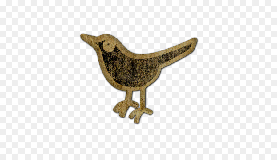 Oiseau，Animal Social PNG