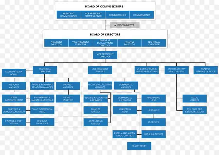 Organigramme，Structure PNG