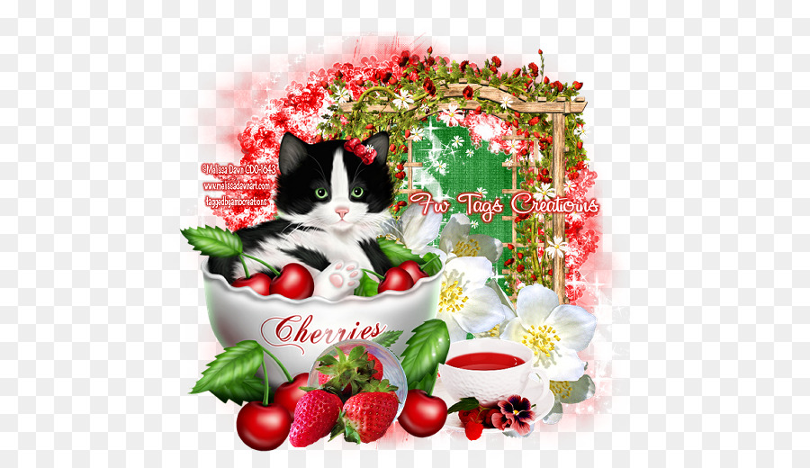 Fraise，Chaton PNG
