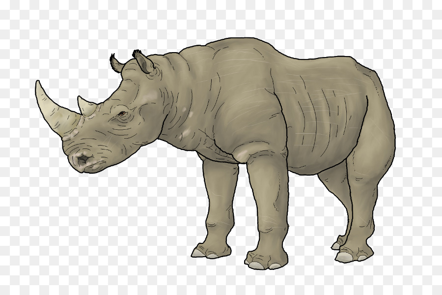 Rhinocéros，Animal PNG
