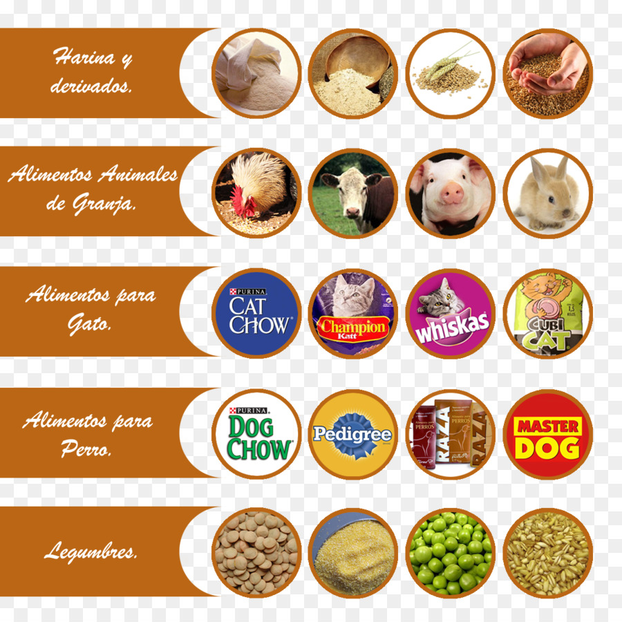 Cuisine，Recette PNG