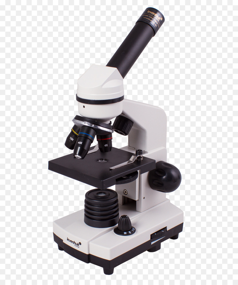 Microscope，Laboratoire PNG