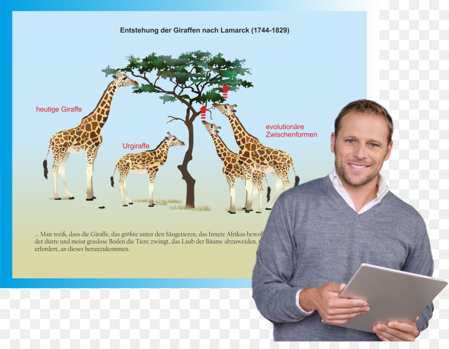 Girafe，Des Logiciels éducatifs PNG
