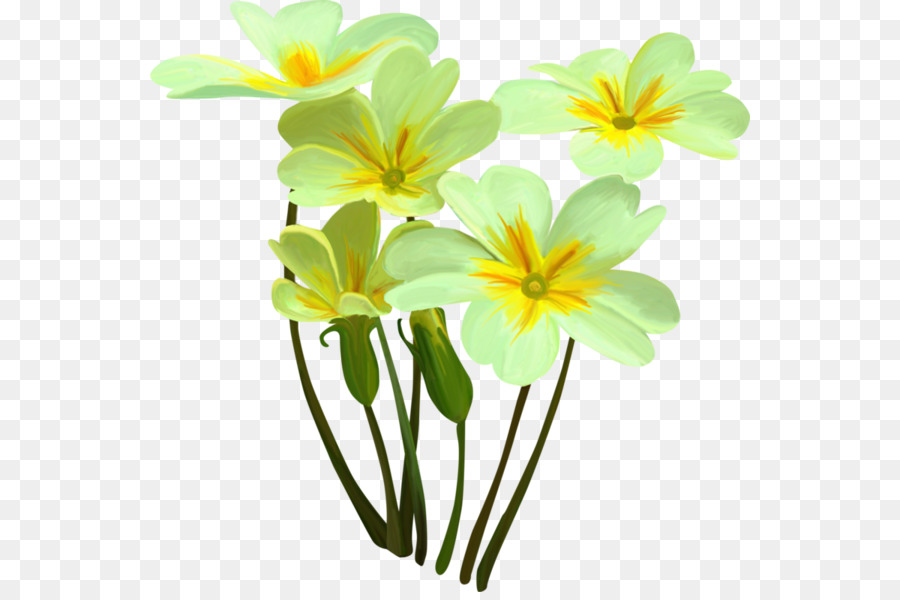 Lys Blancs，Fleurs PNG